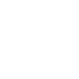 Prime Designs logo